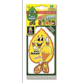 Ambientador Carro Mister Nature 40599