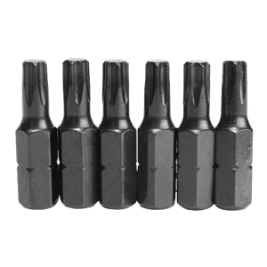 Conjunto 10 Bits Torx Inviolavel - 15x25mm - FC10BT1525