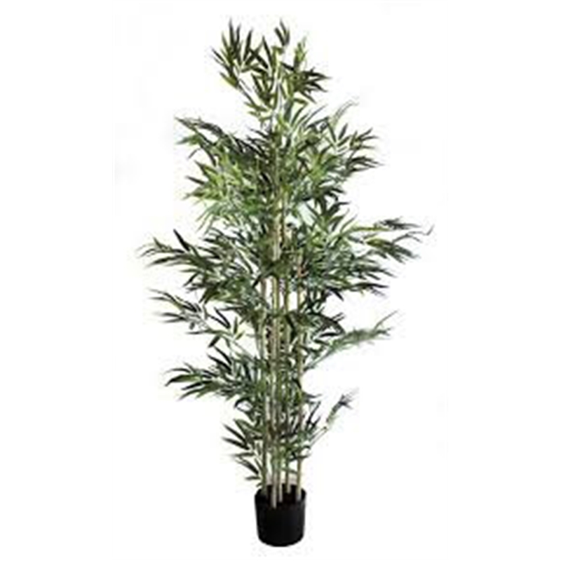 Planta Artif  Bamboo Mini 180cm A246ke - Abmiroc ABMIROC - 20151100127