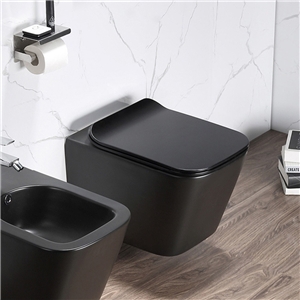 Sanita Susp Elegant + Tampo Preto Mate-rubicer RUBICER - 20221200067