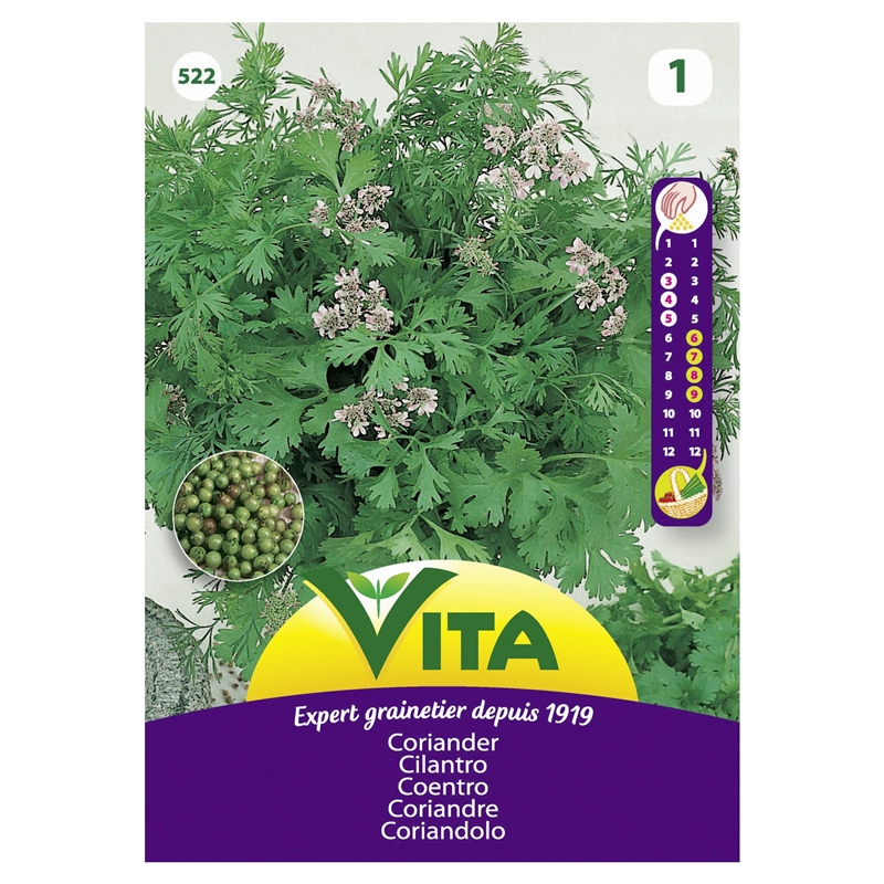 Semente Coentros 3gr - Vita VITA - 20180700014