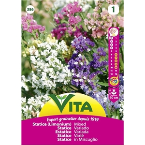 Semente Estatice Mistura 0,5gr - Vita VITA - 20190800030