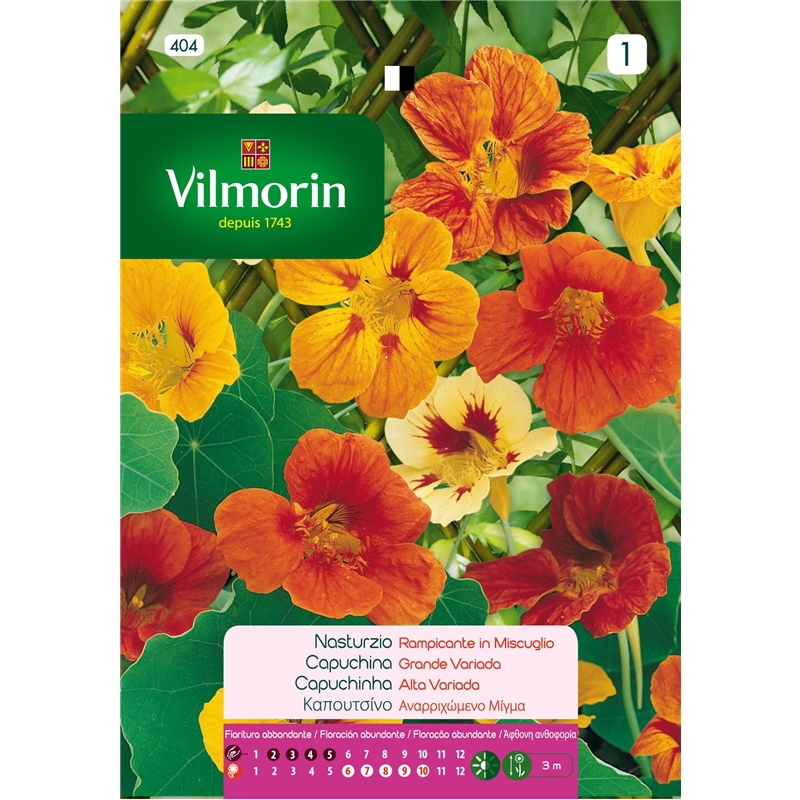 Semente Capuchina Alta Variada 5gr - Vita VITA - 20190800026