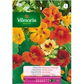 Semente Capuchina Alta Variada 5gr - Vita VITA - 20190800026