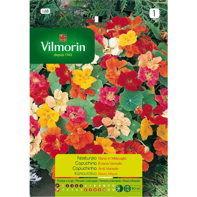 Semente Capuchina Ana Variada 5gr - Vita VITA - 20190800027