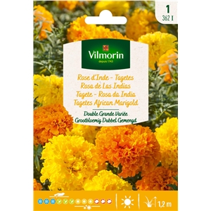 Semente Rosa Da India Mistura 1gr - Vita VITA - 20190800031