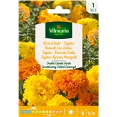 Semente Rosa Da India Mistura 1gr - Vita VITA - 20190800031