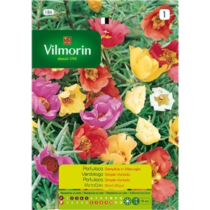 Semente Portulaca Variada 0,7gr - Vita VITA - 20190800033