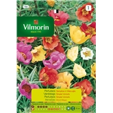 Semente Portulaca Variada 0,7gr - Vita VITA - 20190800033