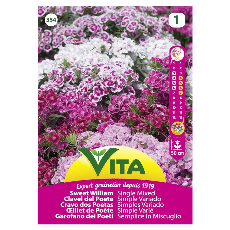 Semente Cravo Dos Poetas Mistura 1,2gr - Vita VITA - 20191100102