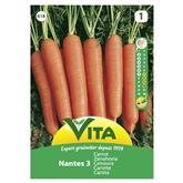 Semente Cenoura Nantes 7gr - Vita VITA - 20230900156