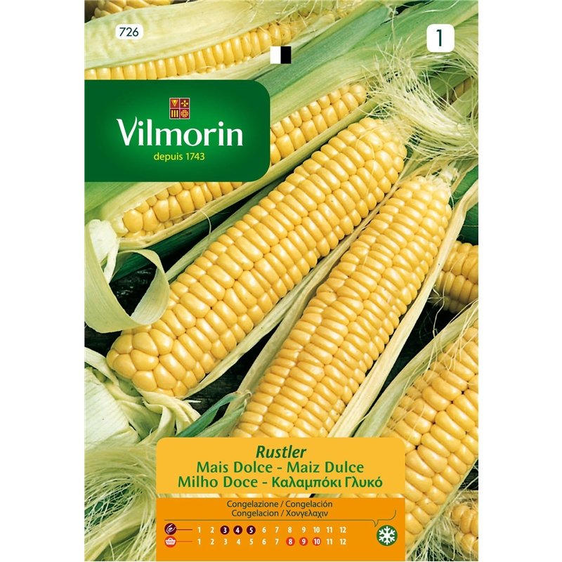 Semente Milho Doce Espiga De Ouro 8g - Vilmorin VILMORIN - 20230900162