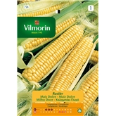 Semente Milho Doce Espiga De Ouro 8g - Vilmorin VILMORIN - 20230900162