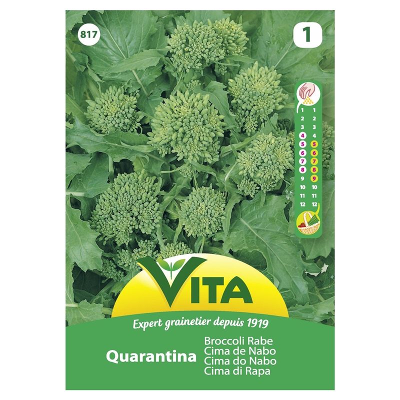Semente Nabiça Quarantina 10g - Vita VITA - 20230900163