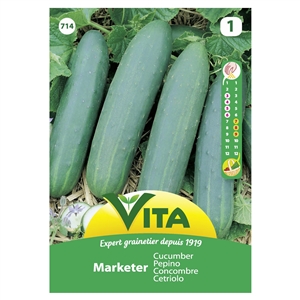 Semente Pepino Marketer 3g - Vita VITA - 20230900164
