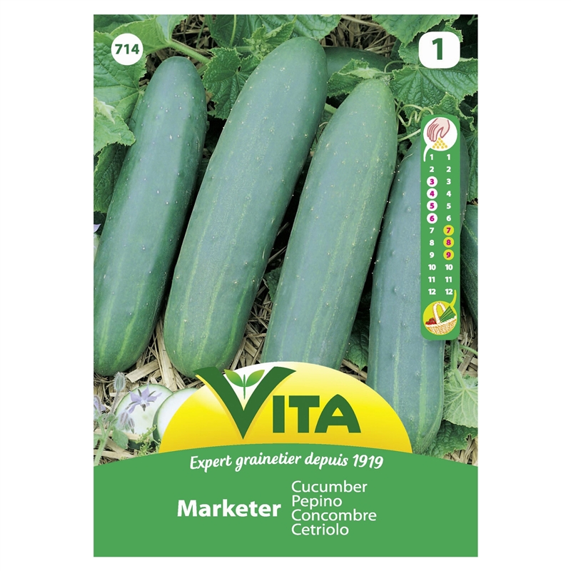 Semente Pepino Marketer 3g - Vita VITA - 20230900164