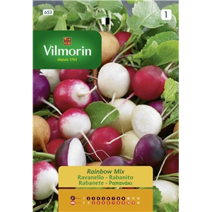 Semente Rabanete Rainbow Mix 4g - Vita VITA - 20230900165