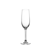Copo Champagne Vidro 230ml Cj 6un S82cp23 -edelita EDELITA - 20220100095