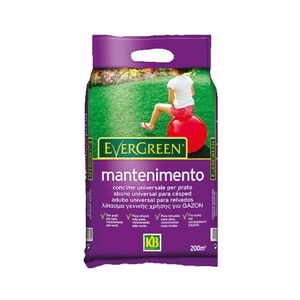 Adubo Relva Manutencao 4kg Evergreen - Kb KB - 20181200016