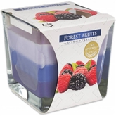 Ambientador Vela Copo Vidro 170gr Forest Fruit - Aura AURA - 20260100026