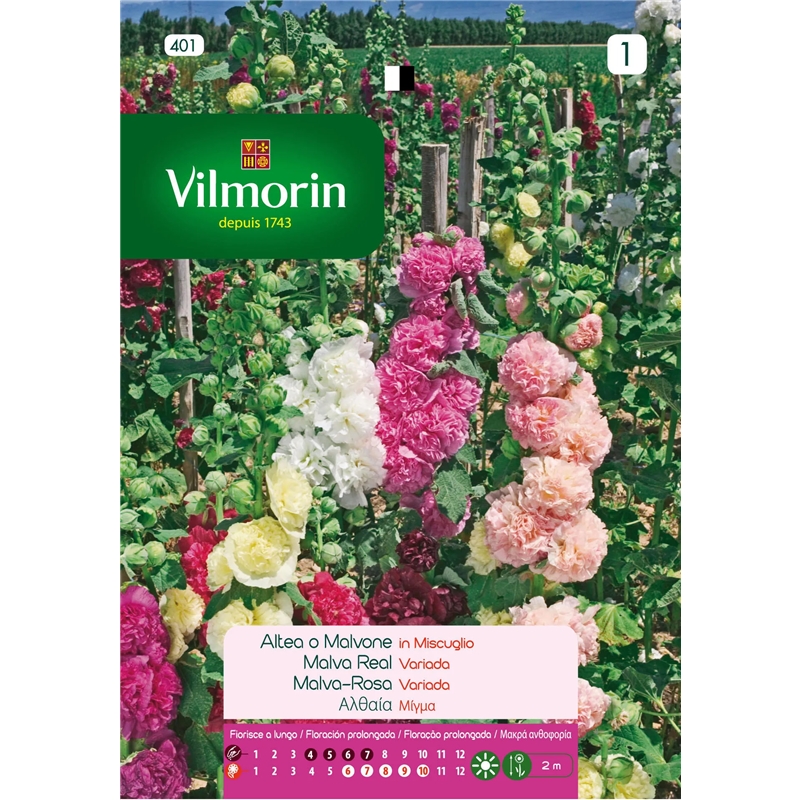 Semente Malva Rosa Variada 1gr - Vita VITA - 20190800032