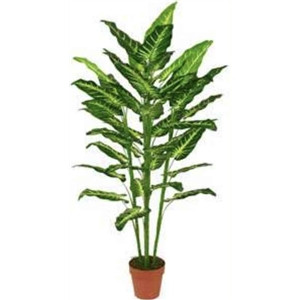 Planta Artif Molucella 160cm A044kw Abmiroc ABMIROC - 20151100121