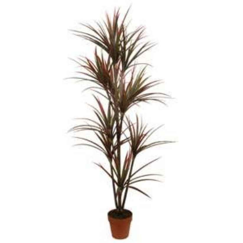 Planta Artif Dracaena 170cm D359ka-abmiroc ABMIROC - 20140500338