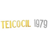 Numero 7 10cm Inox - Teicocil Sem marca - 20151302604