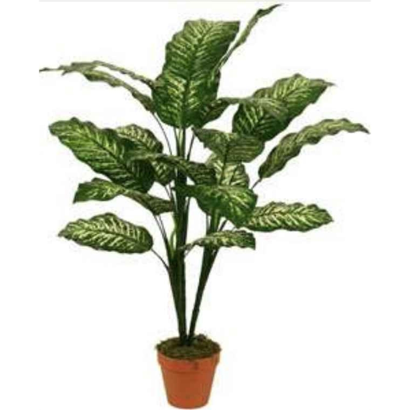 Planta Artif Dieffenbachia 95cm A092kq-abmiroc ABMIROC - 20151100123