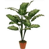 Planta Artif Dieffenbachia 95cm A092kq-abmiroc ABMIROC - 20151100123