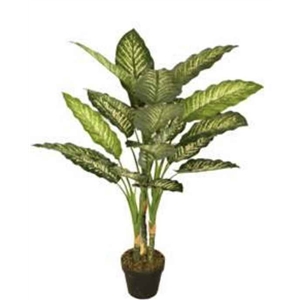 Planta Artif Dieffenbachia 100cm A092kw-abmiroc ABMIROC - 20151100130