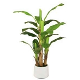Planta Artif Bananeira Tree 160cm A081kf - Abmiroc ABMIROC - 20151100131