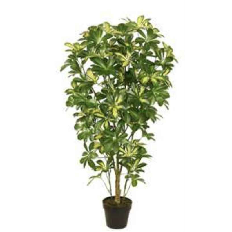 Planta Artif Scheffera 120cm Ow-kbc-abmiroc ABMIROC - 20151100132