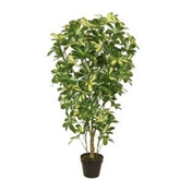 Planta Artif Scheffera 120cm Ow-kbc-abmiroc ABMIROC - 20151100132