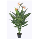 Planta Artif Passaro Paraiso 150cm A117kaa-abmiroc ABMIROC - 20151100133