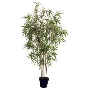 Planta Artif  Bamboo 170cm D356kk - Abmiroc ABMIROC - 20151100137
