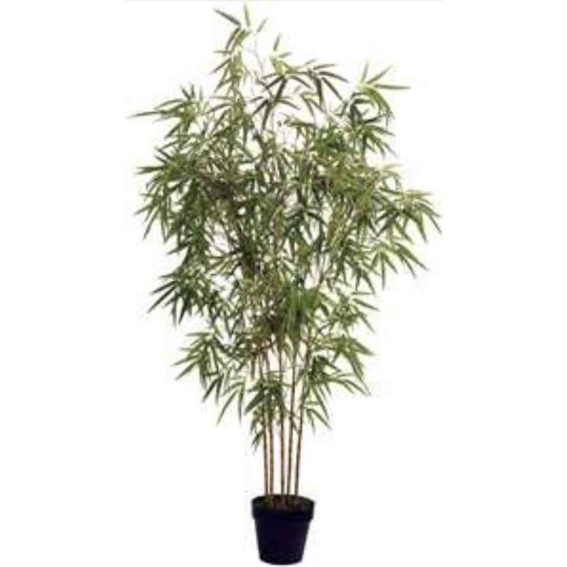 Planta Artif  Bamboo 170cm D356kk - Abmiroc ABMIROC - 20151100137