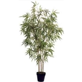 Planta Artif  Bamboo 170cm D356kk - Abmiroc ABMIROC - 20151100137