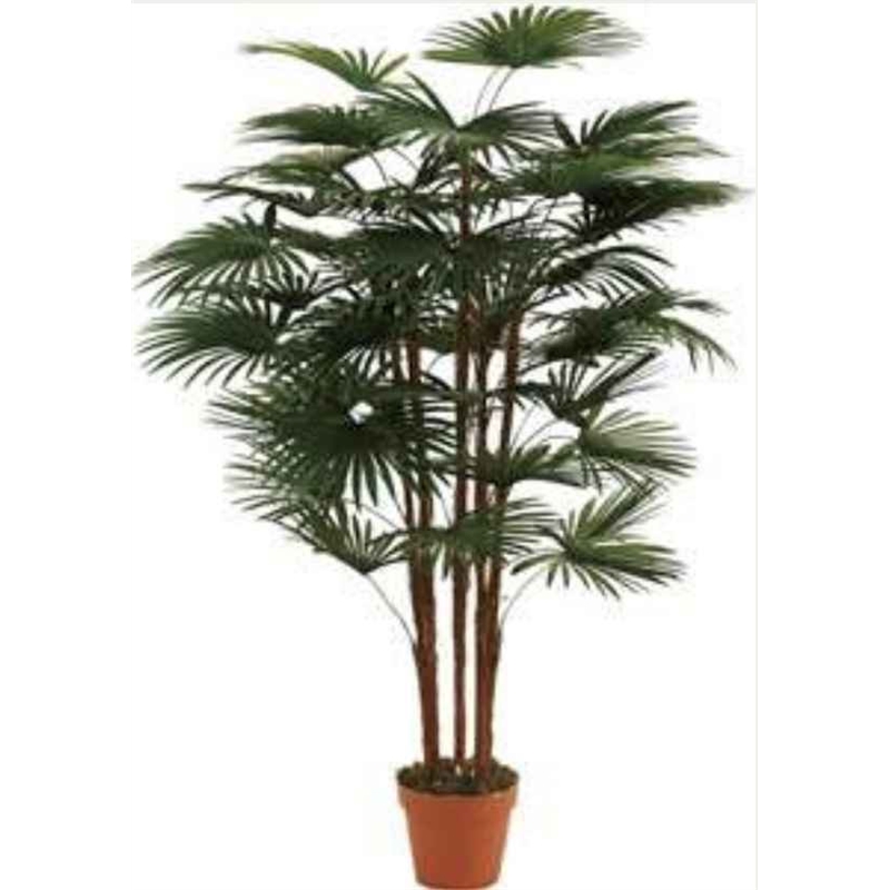 Planta Artif Palmeira Fortun 120cm Ap017kh-abmiroc ABMIROC - 20151100138
