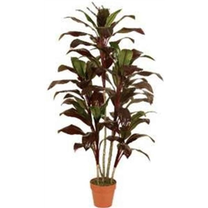 Planta Artif Dracaena 150cm Ap039kg-abmiroc ABMIROC - 20151100139