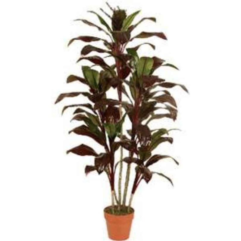 Planta Artif Dracaena 150cm Ap039kg-abmiroc ABMIROC - 20151100139