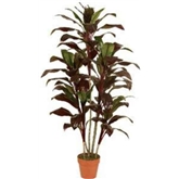 Planta Artif Dracaena 150cm Ap039kg-abmiroc ABMIROC - 20151100139