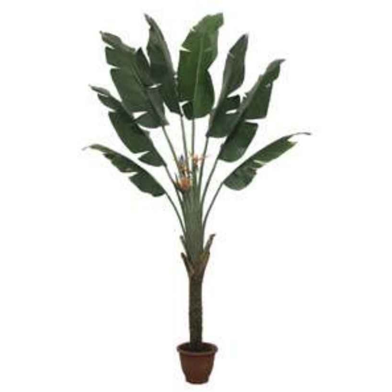 Planta Artif Palmeira Leque 240cm Ap038kb-abmiroc ABMIROC - 20190700030