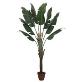Planta Artif Palmeira Leque 240cm Ap038kb-abmiroc ABMIROC - 20190700030