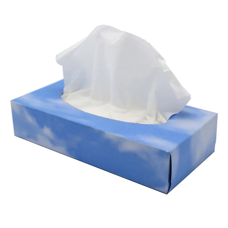 Caixa Lenço Papel Foccio Sem marca - 20151318499