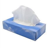 Caixa Lenço Papel Foccio Sem marca - 20151318499