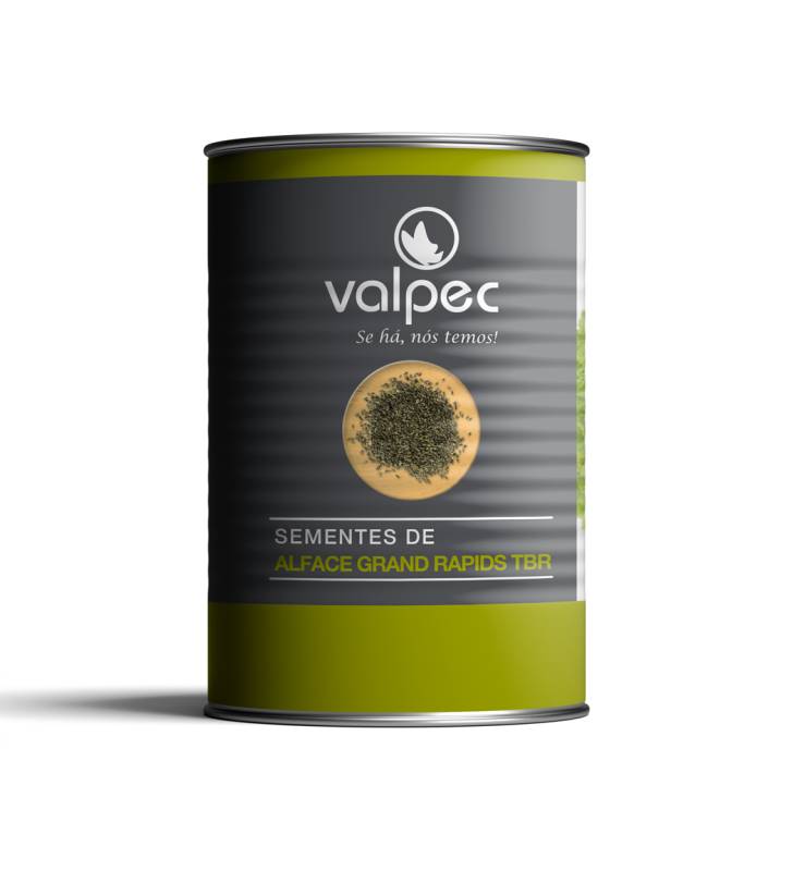 Semente Alface Grand Rapids TBR Lata 100gr Valpec