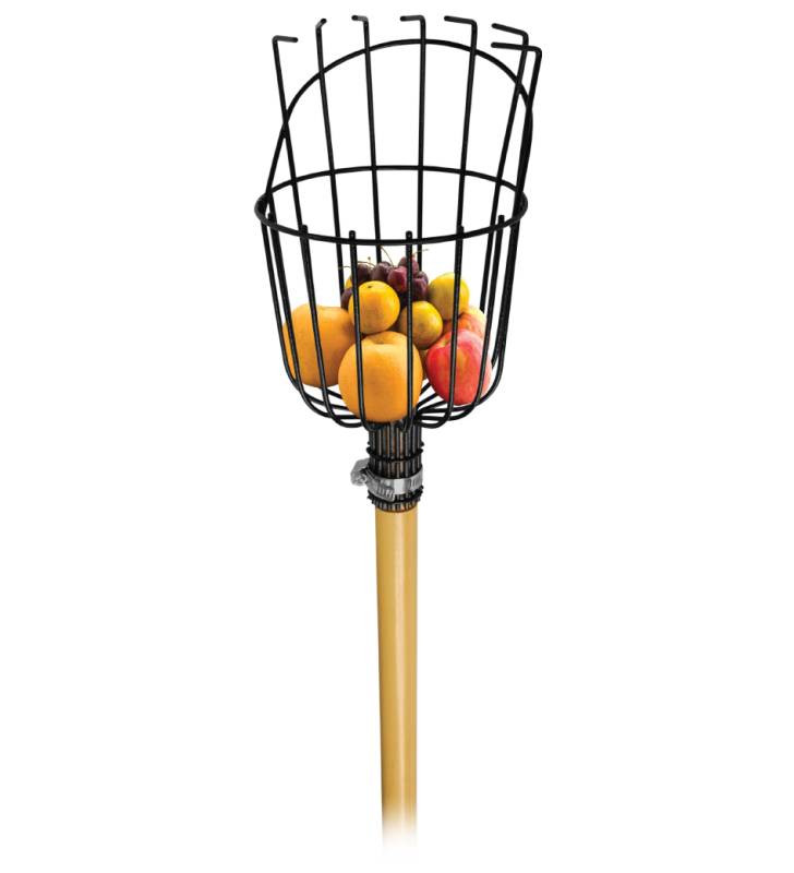 Apanha Frutos Com Cabo Flux